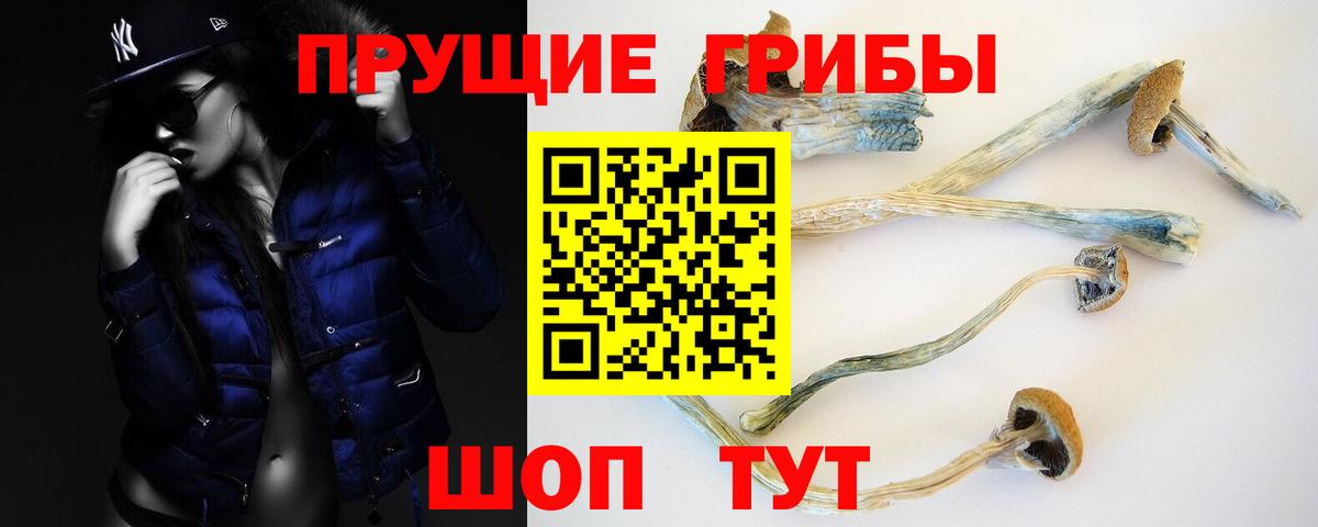Псилоцибиновые грибы MAGIC MUSHROOMS Губкин